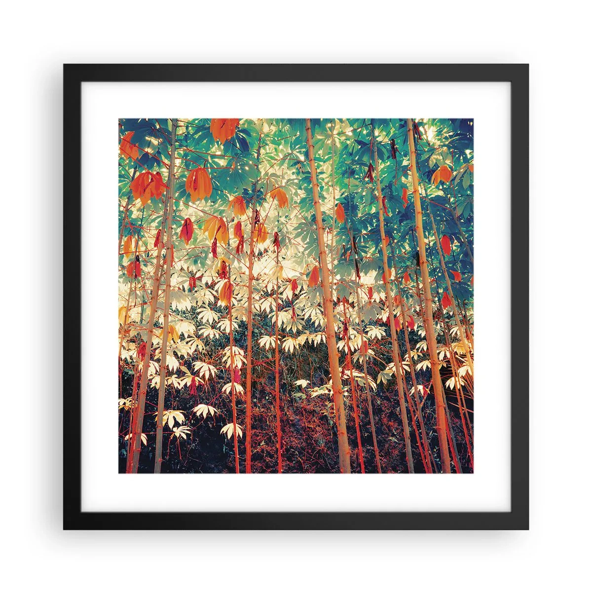 Poster in einem schwarzem Rahmen - Das geheime Leben der Blätter - 40x40 cm