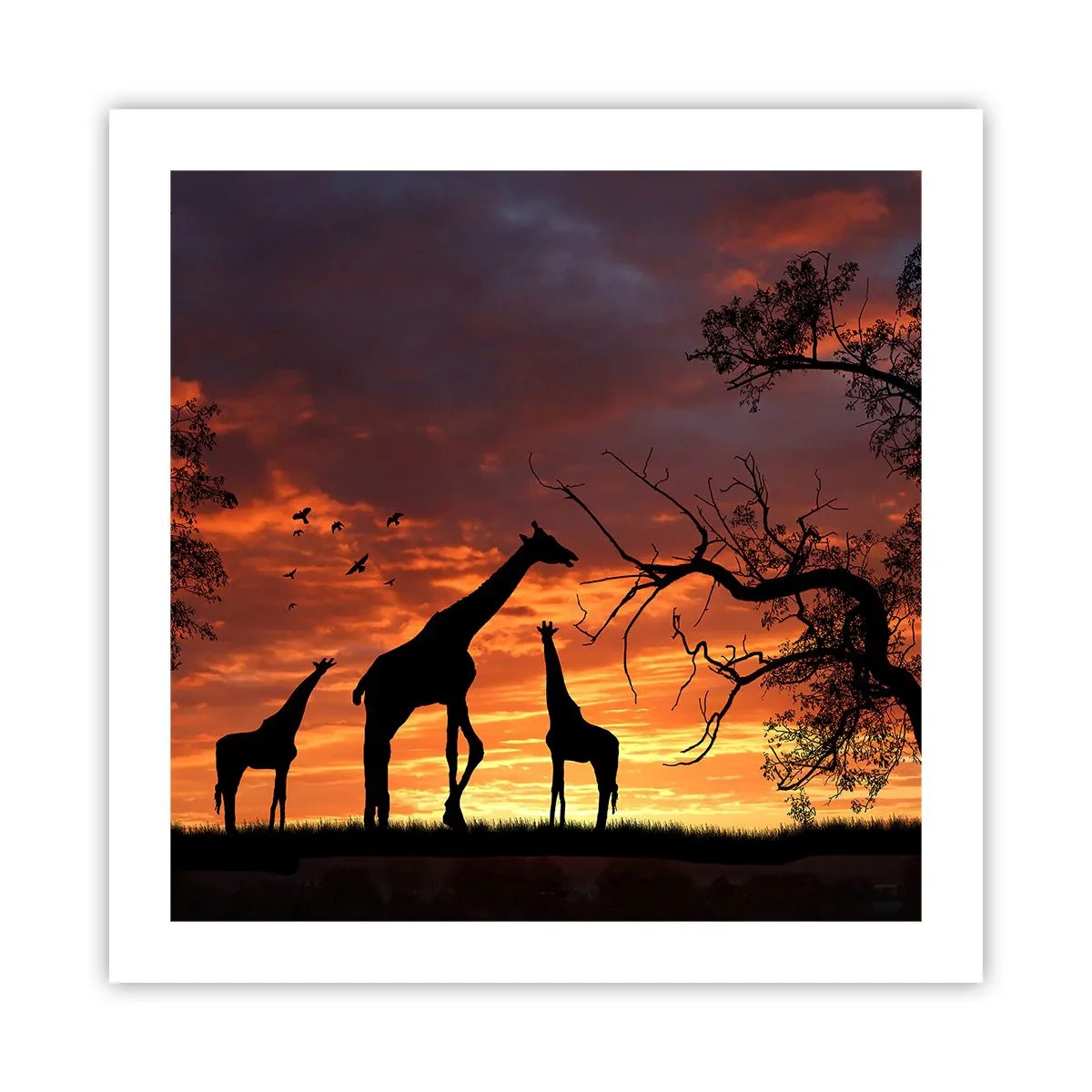Poster - Ein kleines Abendessen mit deinen Liebsten - 50x50 cm