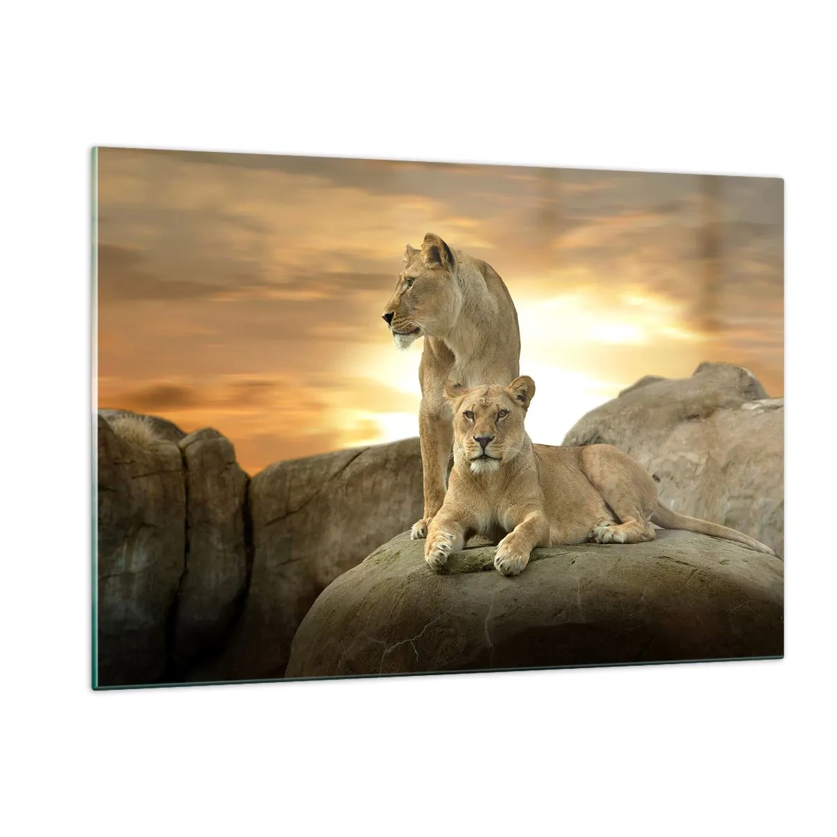 Glasbild - Bild auf glas - Königliche Majestät - 120x80cm - Königliche Majestät - Moderne Wanddekoration für Wohnzimmer und Schlafzimmer ARTTOR