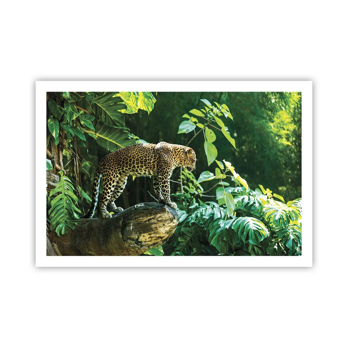 Poster - Auf die Jagd? - 91x61 cm