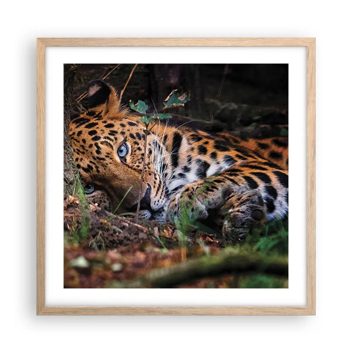 Poster in einem Rahmen aus heller Eiche - Vertrau mir - 50x50 cm