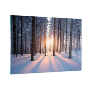 Glasbild - Bild auf glas - Winterwald mit Sonnenstrahlen, die durch die Bäume scheinen - 100x70cm - Ganz klar schwarz auf weiß - Moderne Wanddekoration für Wohnzimmer und Schlafzimmer ARTTOR
