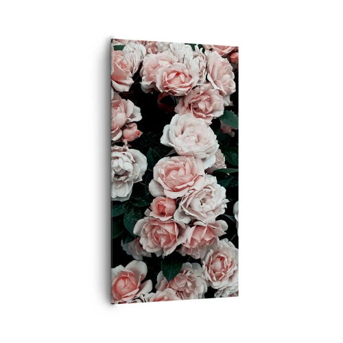 Bild auf Leinwand - Leinwandbild - Rosen-Ensemble - 65x120 cm