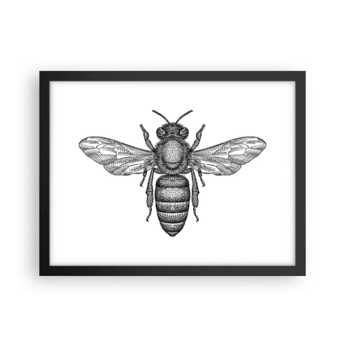 Poster in einem schwarzem Rahmen - Insektenporträt - 40x30 cm