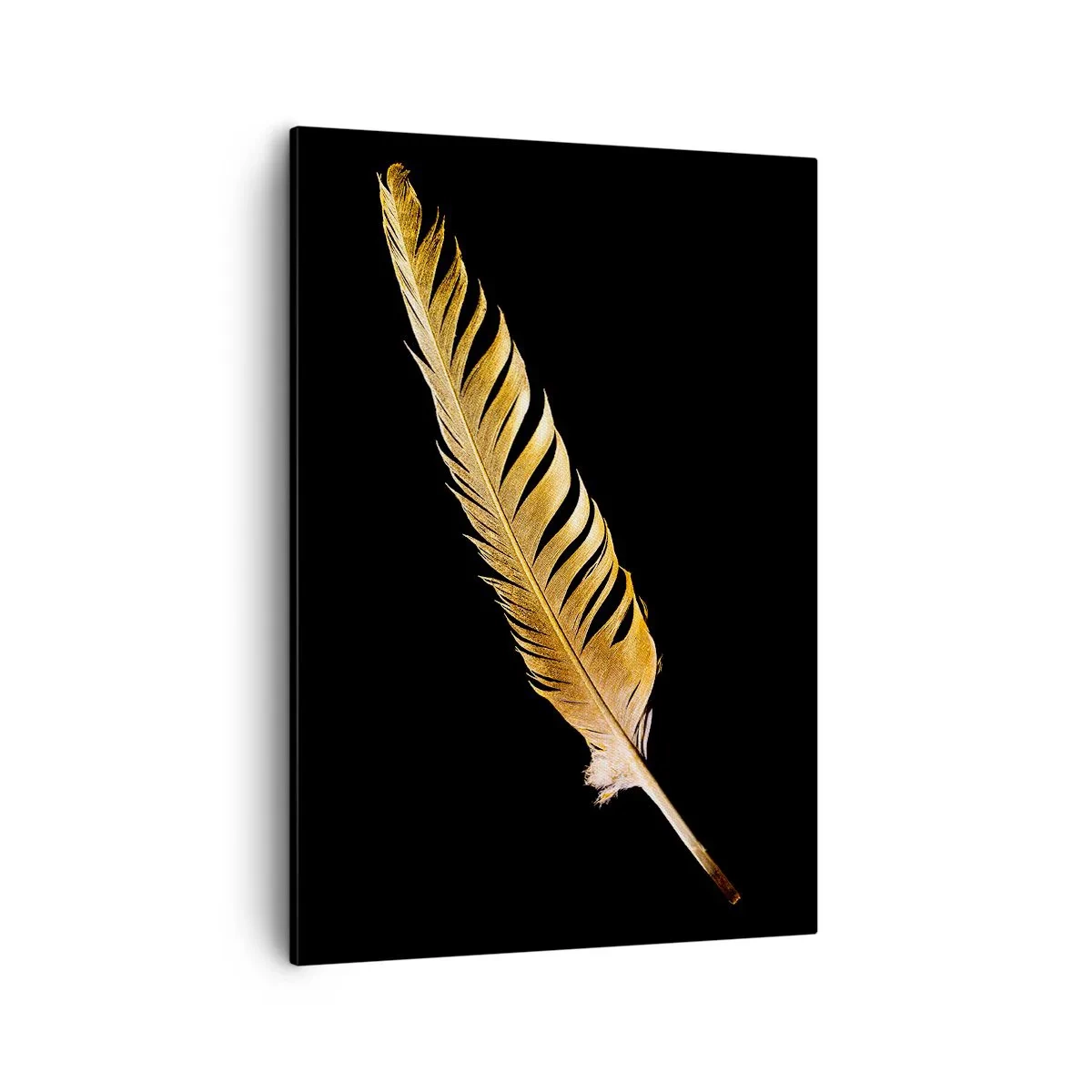 Bild auf Leinwand - Leinwandbild - Goldene Feder auf schwarzem Hintergrund - 50x70cm - Er hat ein ungewöhnliches Schreibtalent ... - Moderne Wanddekoration für Wohnzimmer und Schlafzimmer ARTTOR