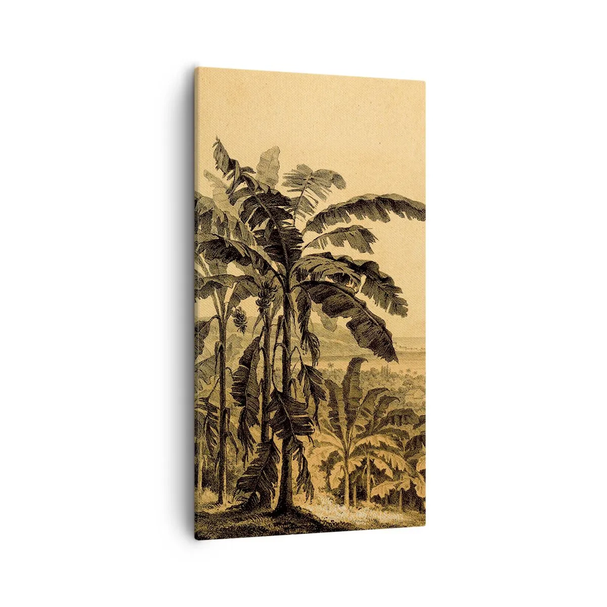 Bild auf Leinwand - Leinwandbild - in einem kolonialen Klima - 55x100 cm