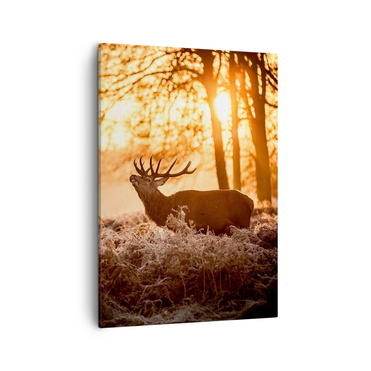 Bild auf Leinwand - Leinwandbild - Zwei Hirsche bei Sonnenuntergang in einer Winterlandschaft - 50x70cm - Der Traum eines Jägers - Moderne Wanddekoration für Wohnzimmer und Schlafzimmer ARTTOR