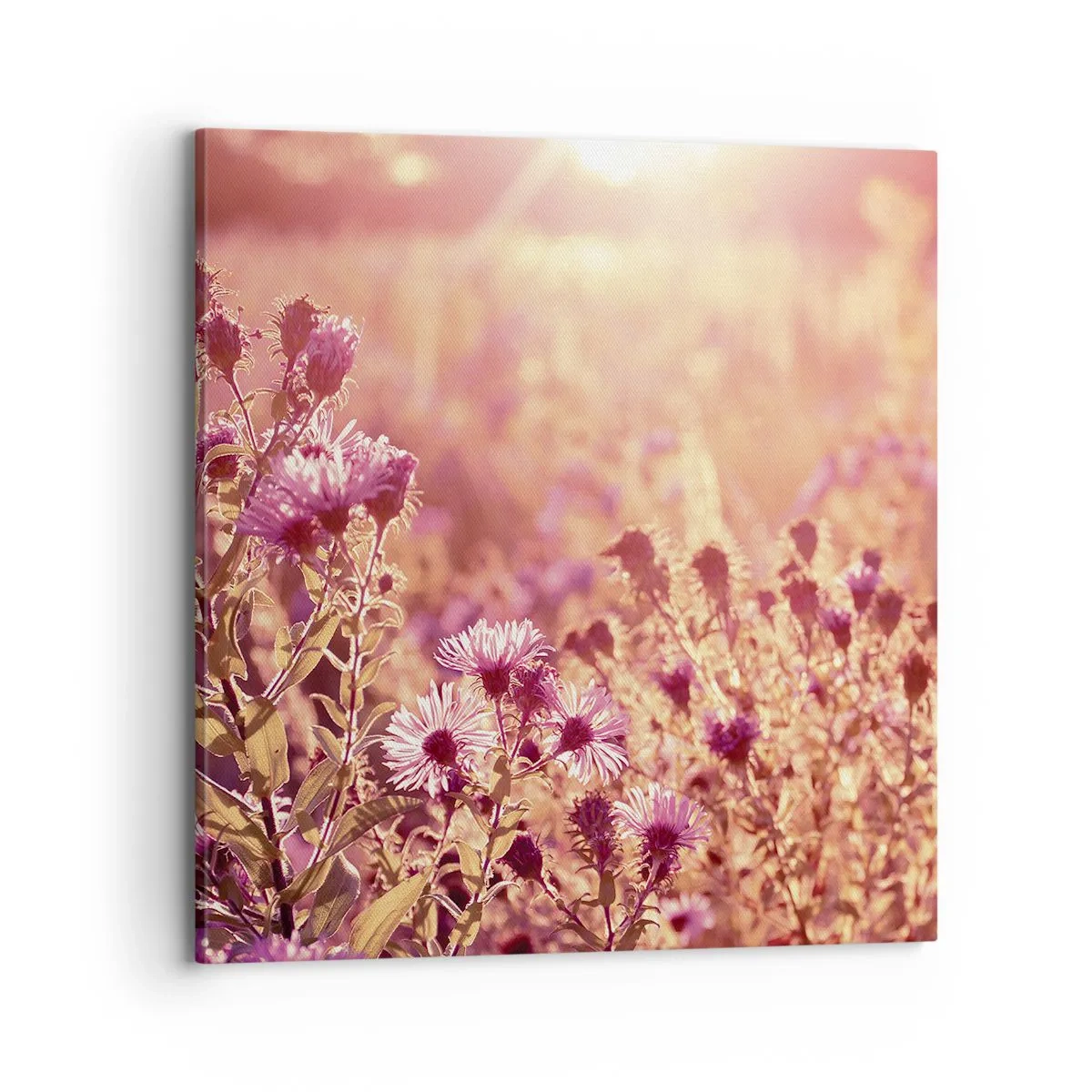 Bild auf Leinwand - Leinwandbild - Bevor der Sommer vorbei ist - 70x70 cm