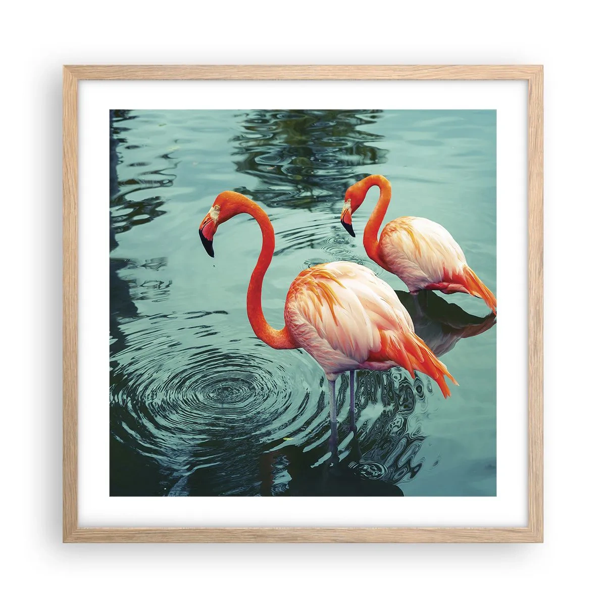 Poster in einem Rahmen aus heller Eiche - Wir sind jetzt in Mode - 50x50 cm