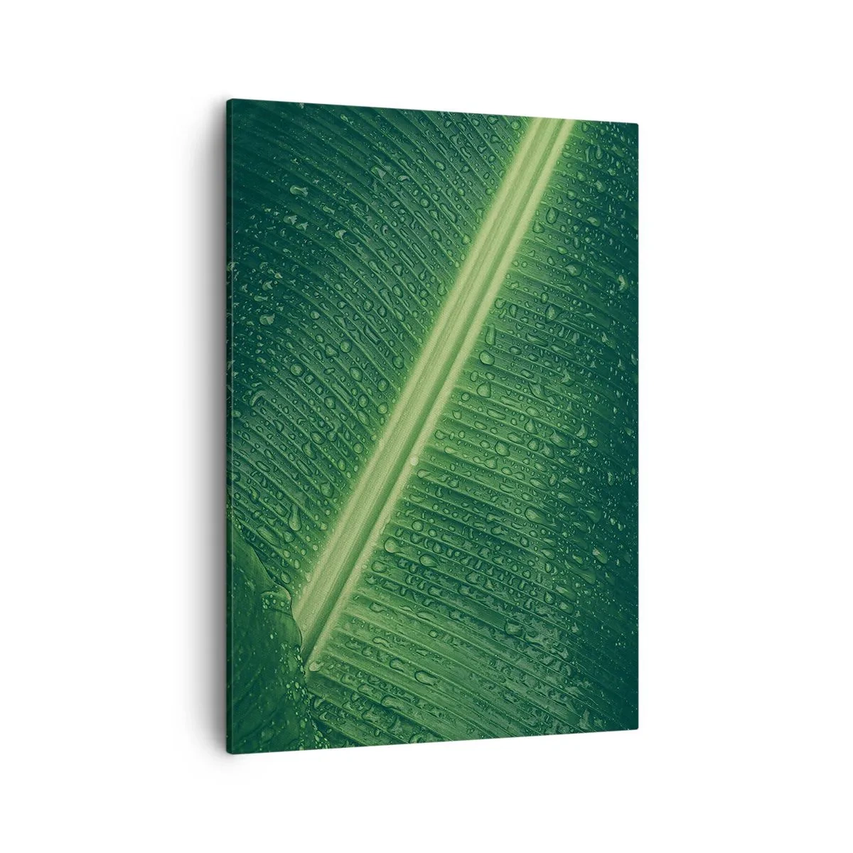 Bild auf Leinwand - Leinwandbild - Ein grünes Blatt mit Wassertropfen auf der Oberfläche - 50x70cm - Die Struktur des Grüns - Moderne Wanddekoration für Wohnzimmer und Schlafzimmer ARTTOR