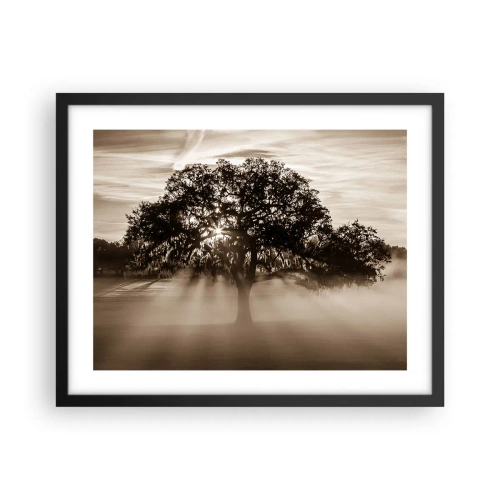 Poster in einem schwarzem Rahmen - Baum der guten Nachrichten - 50x40 cm