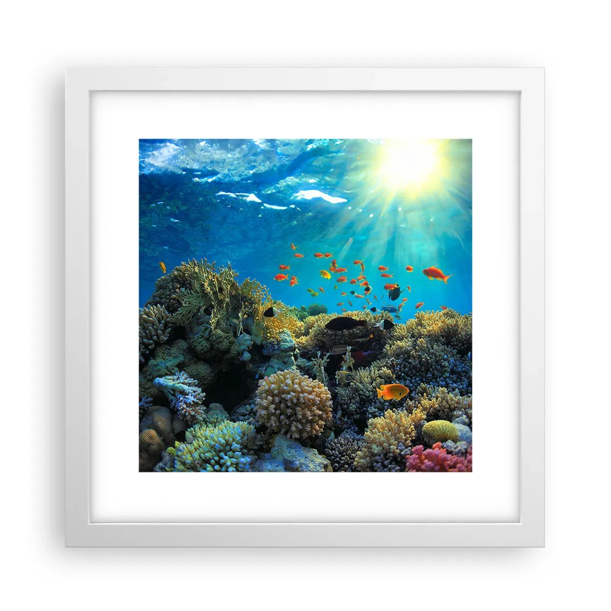 Poster in einem weißen Rahmen - Unterwasserschätze - 30x30 cm