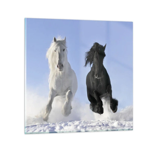 Glasbild - Bild auf glas - Schwarz-Weiß-Galopp - 30x30 cm
