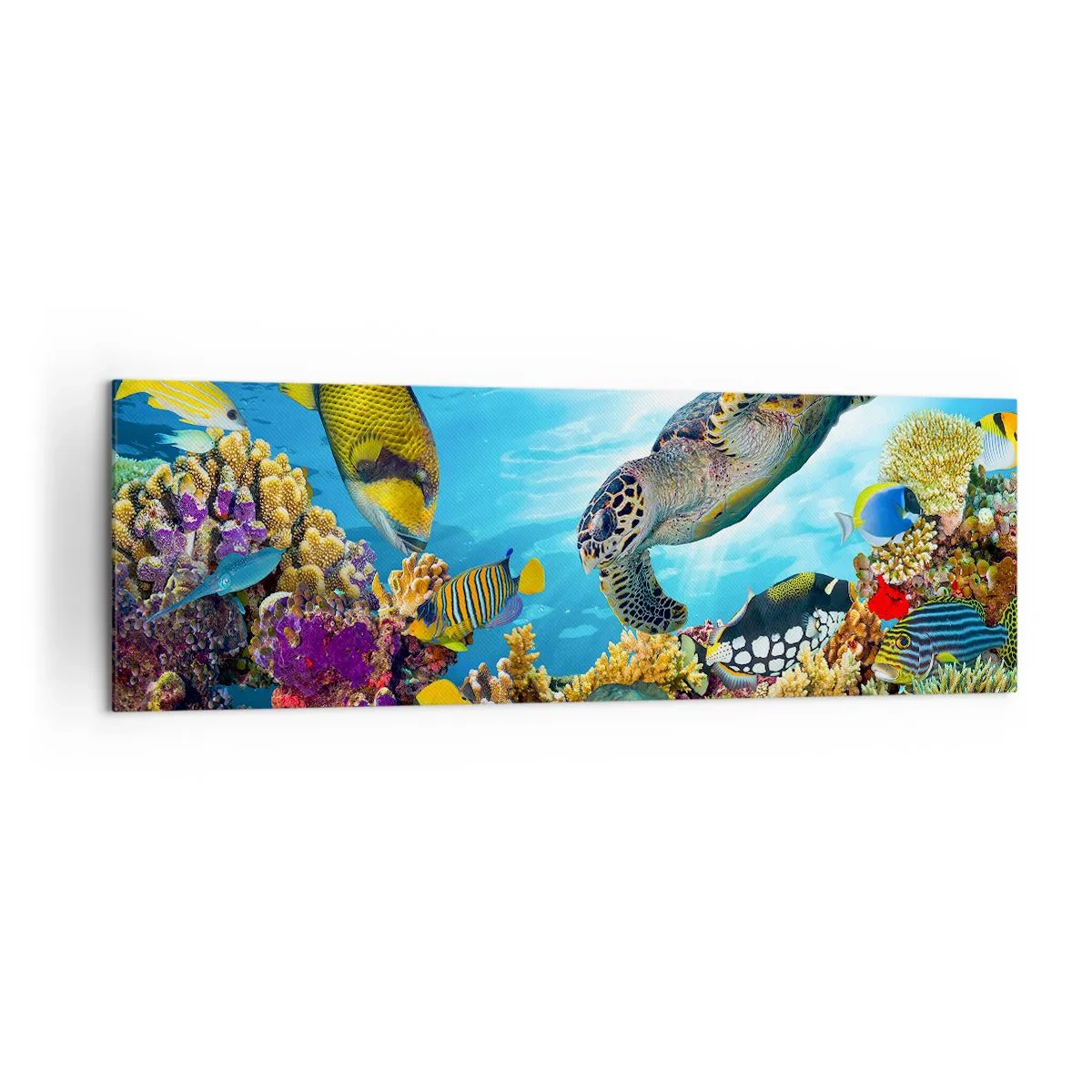 Bild auf Leinwand - Leinwandbild - Unterwasserwelt mit bunten Fischen und einer Schildkröte in den Korallen - 160x50cm - Korallenpromenade - Moderne Wanddekoration für Wohnzimmer und Schlafzimmer ARTTOR