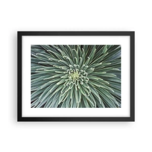 Poster in einem schwarzem Rahmen - Ein Star ist geboren - 40x30 cm