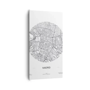 Bild auf Leinwand - Leinwandbild - Anatomie von Madrid - 65x120 cm