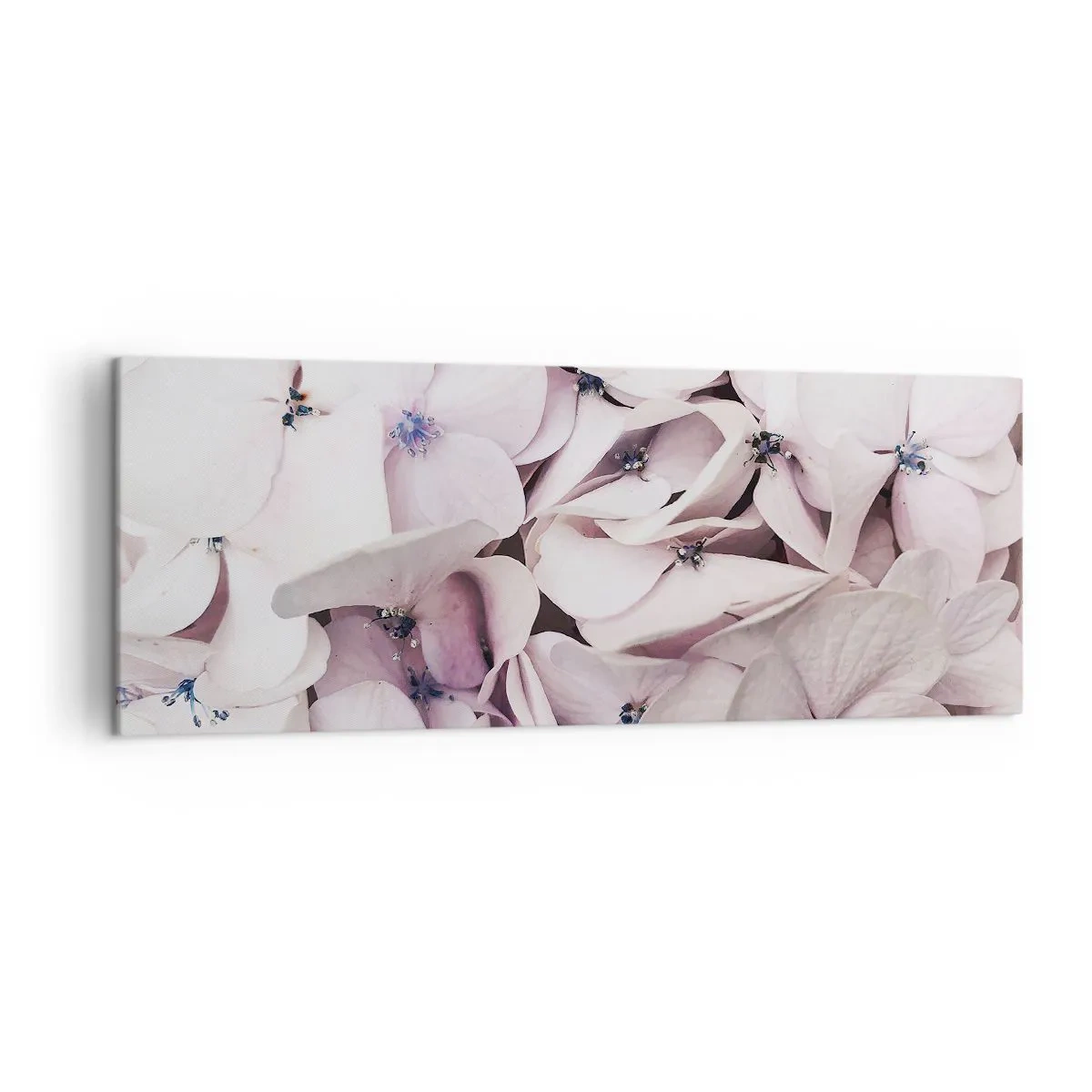 Bild auf Leinwand - Leinwandbild - Zarte weiße Hortensien in Pastelltönen - 140x50cm - In einer Blumenflut - Moderne Wanddekoration für Wohnzimmer und Schlafzimmer ARTTOR