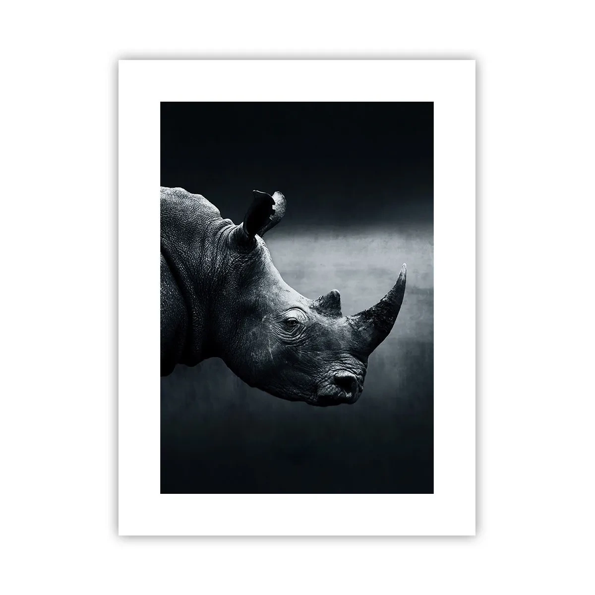 Poster - Richtiges Profil - 30x40 cm
