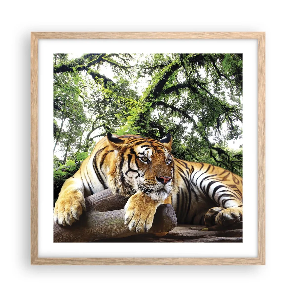 Poster in einem Rahmen aus heller Eiche - Hochachtungsvoll - 50x50 cm