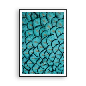 Poster in einem schwarzem Rahmen - Große Federgala - 70x100 cm