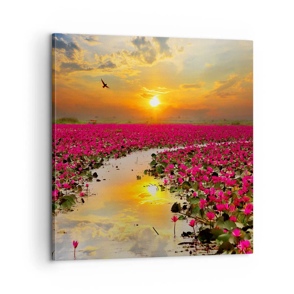 Bild auf Leinwand - Leinwandbild - Das geheime Leben des Sees - 60x60 cm