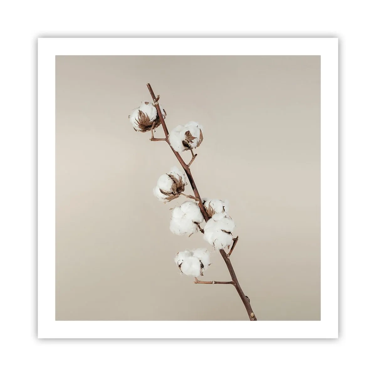 Poster - An der Quelle der Weichheit - 60x60 cm