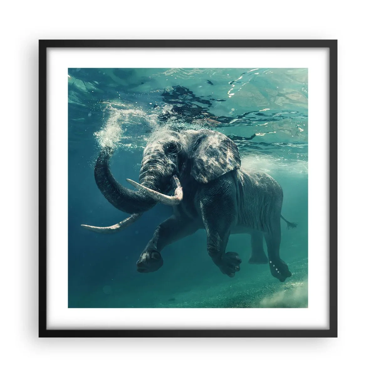 Poster in einem schwarzem Rahmen - Jeder schwimmt gerne - 50x50 cm
