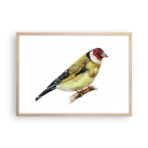 Poster in einem Rahmen aus heller Eiche - Vogelporträt - 70x50 cm