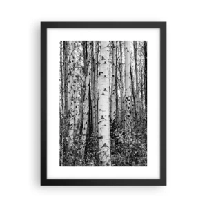 Poster in einem schwarzem Rahmen - Birkenkolonnade - 30x40 cm