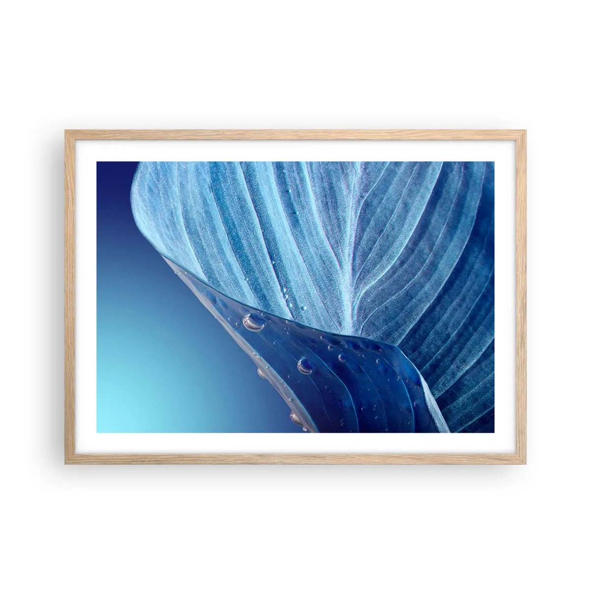 Poster in einem Rahmen aus heller Eiche - Versteckte Tropfen vom Blau - 70x50 cm