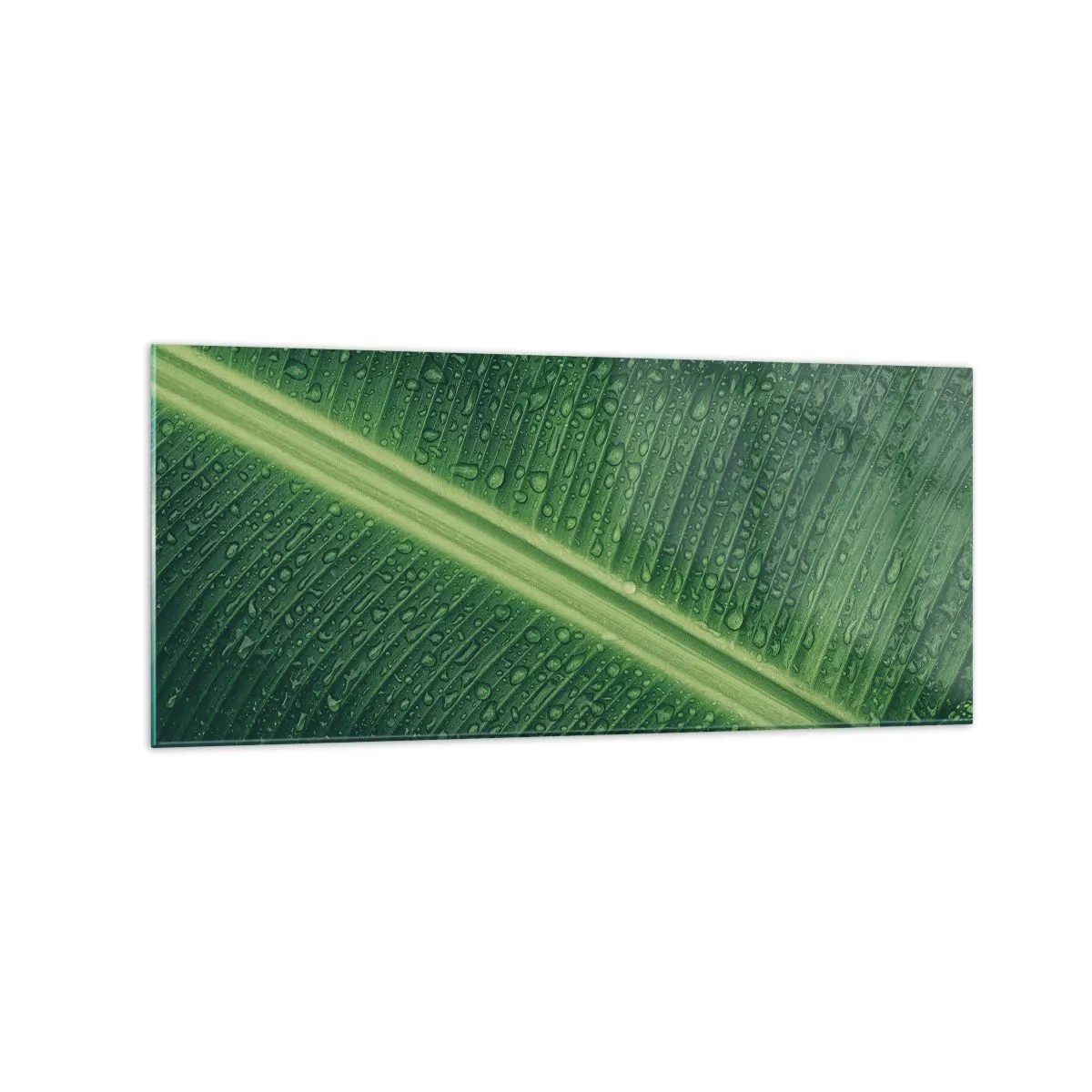 Glasbild - Bild auf glas - Ein grünes Blatt mit Wassertropfen auf der Oberfläche - 120x50cm - Die Struktur des Grüns - Moderne Wanddekoration für Wohnzimmer und Schlafzimmer ARTTOR