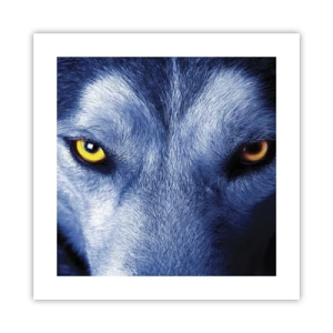 Poster - Faszinierender Blick - 40x40 cm