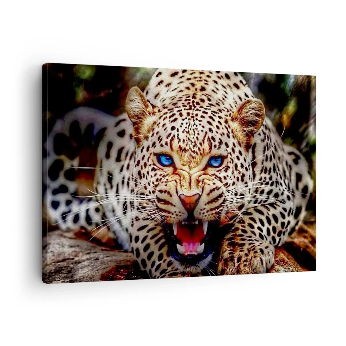 Bild auf Leinwand - Leinwandbild - Ein bedrohlicher Leopard mit intensiv blauen Augen - 70x50cm - Schönheitswut tut nicht weh - Moderne Wanddekoration für Wohnzimmer und Schlafzimmer ARTTOR