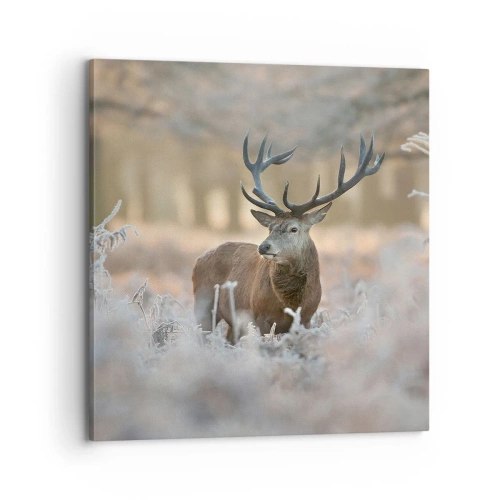 Bild auf Leinwand - Leinwandbild - Ein flotter Morgen - 70x70 cm