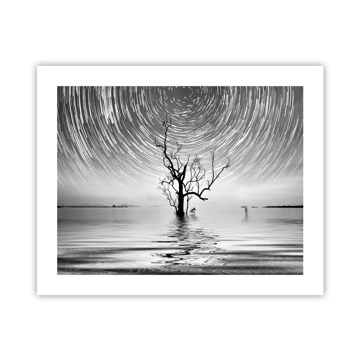 Poster - Eine Sinfonie der Natur - 50x40 cm