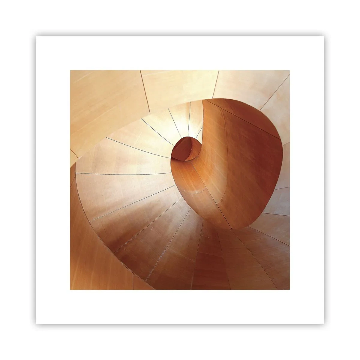 Poster - Architektonische Serpentine - 30x30 cm