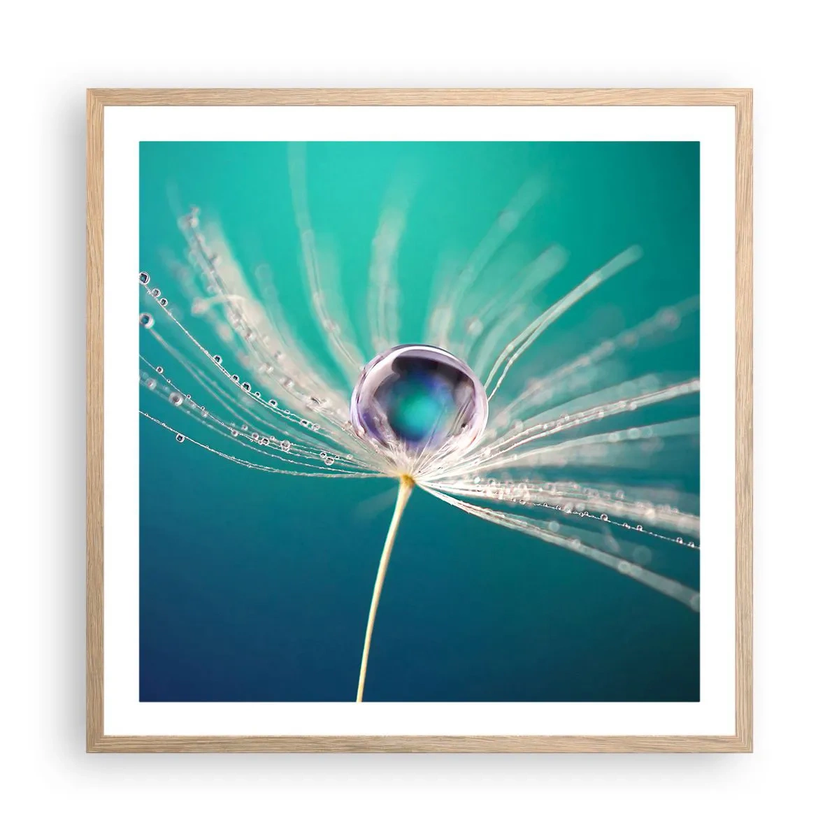 Poster in einem Rahmen aus heller Eiche - Mystischer Moment - 60x60 cm