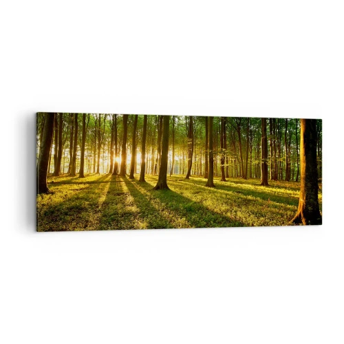 Bild auf Leinwand - Leinwandbild - Die untergehende Sonne im Laubwald - 140x50cm - Alle Frühlingsfotografie - Moderne Wanddekoration für Wohnzimmer und Schlafzimmer ARTTOR