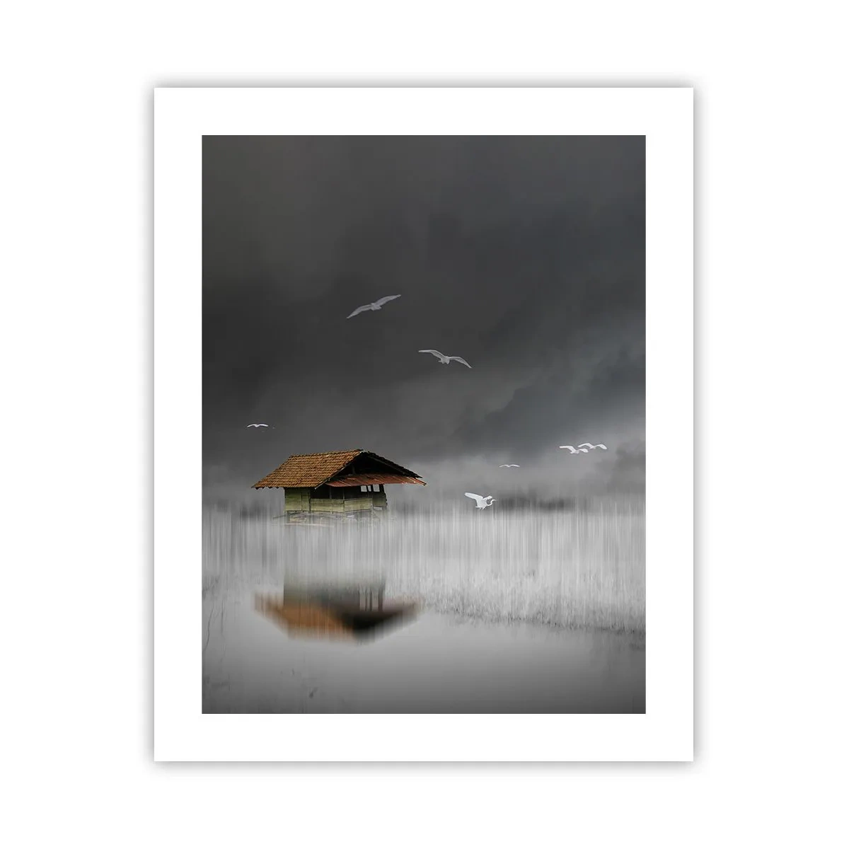 Poster - Schutz vor Regen - 40x50 cm
