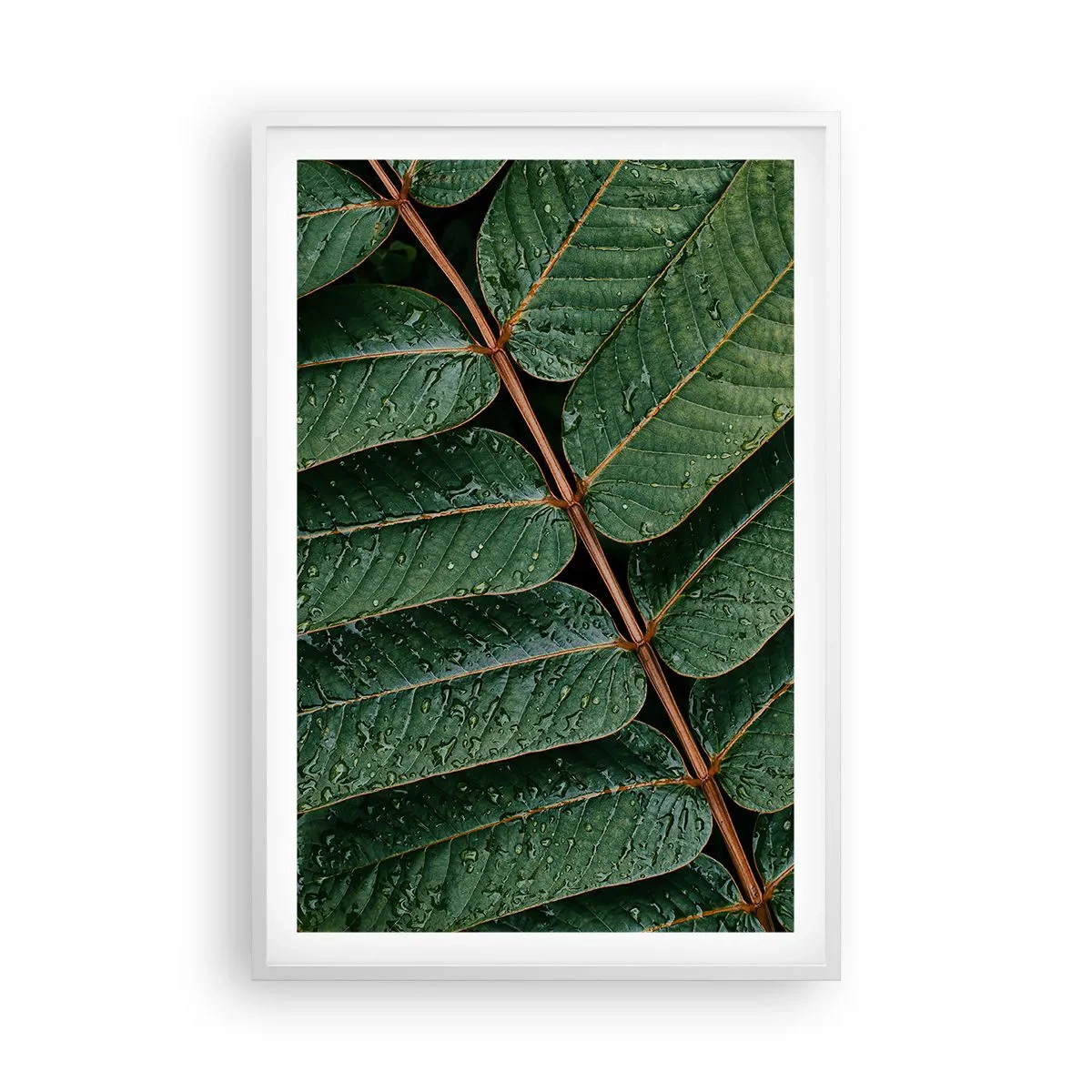 Poster in einem weißen Rahmen - Im grünen Rhythmus - 61x91 cm