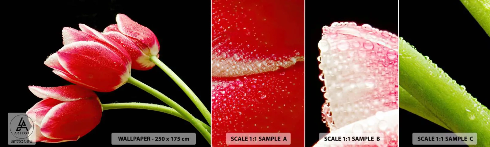 Fototapeten Muster Selbstklebend Deluxe Sticker - Ein Versprechen der reinen Liebe - Blumen, Tulpen, Natur - 100x30 cm