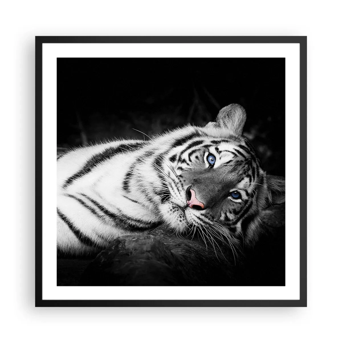 Poster in einem schwarzem Rahmen - Wildnis und Frieden - 60x60 cm