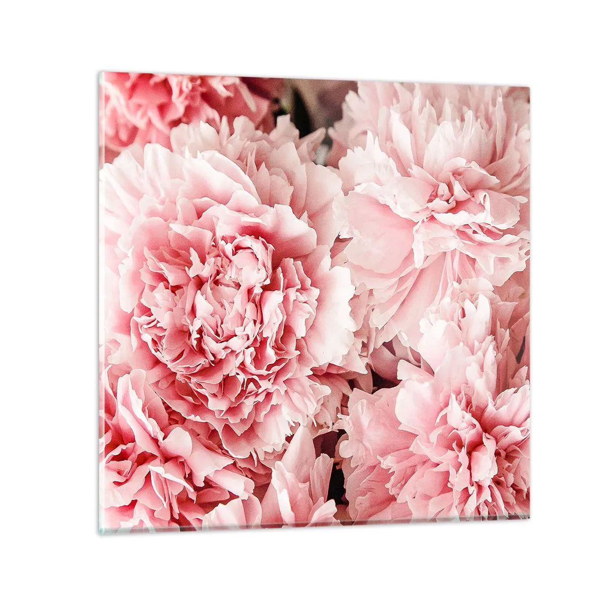 Glasbild - Bild auf glas - Rosa Traum - 30x30 cm