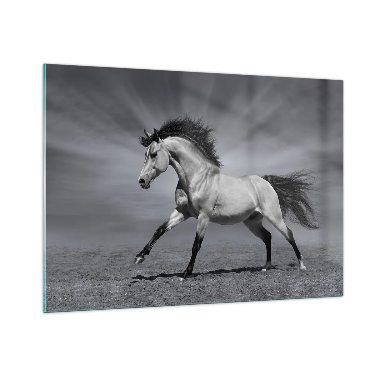 Glasbild - Bild auf glas - Ein Schwarzweißfoto eines galoppierenden Pferdes auf einem offenen Feld. - 100x70cm - Geboren um Freude zu bereiten - Moderne Wanddekoration für Wohnzimmer und Schlafzimmer ARTTOR