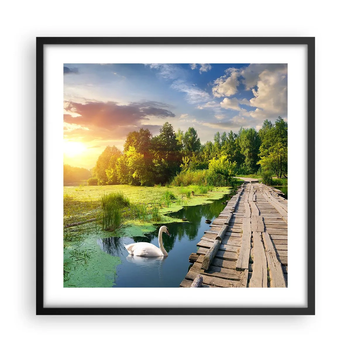 Poster in einem schwarzem Rahmen - Sommer, Sommer überall - 50x50 cm