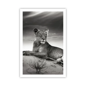 Poster - Die Königin der Wüstenruhe - 61x91 cm