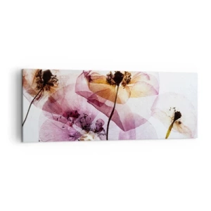 Bild auf Leinwand - Leinwandbild - Zarte transparente Blüten in Pastelltönen - 140x50cm - Transparente Körperblumen - Moderne Wanddekoration für Wohnzimmer und Schlafzimmer ARTTOR
