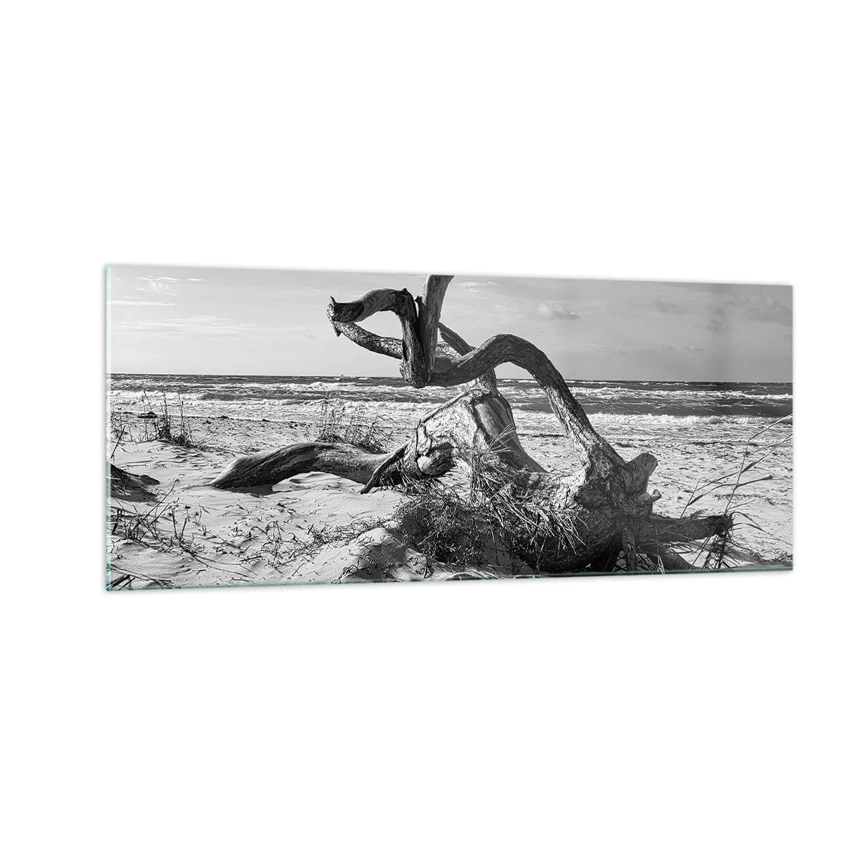 Glasbild - Bild auf glas - Meeresskulptur - 100x40 cm