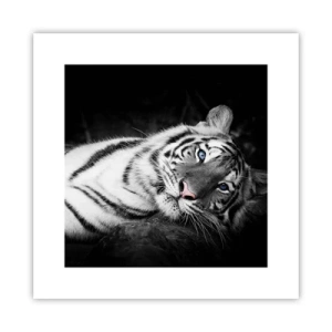 Poster - Wildnis und Frieden - 30x30 cm