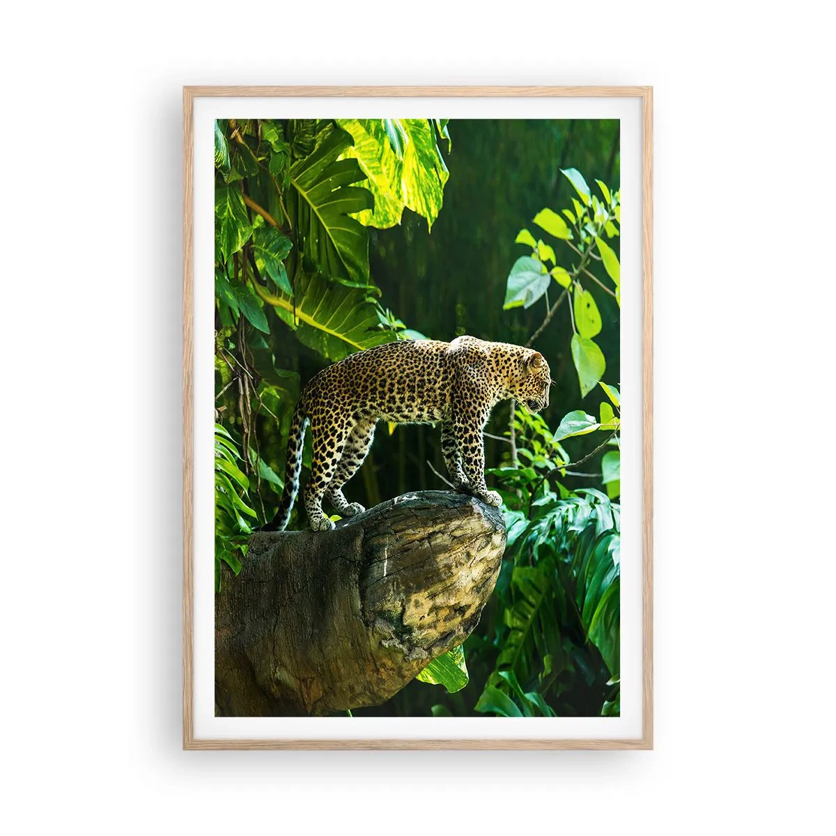 Poster in einem Rahmen aus heller Eiche - Auf die Jagd? - 70x100 cm